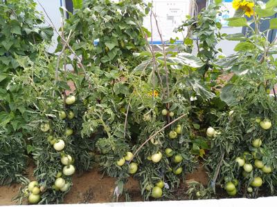 一份耕耘 一份收获