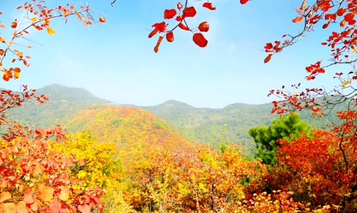 秋韵----层林尽染