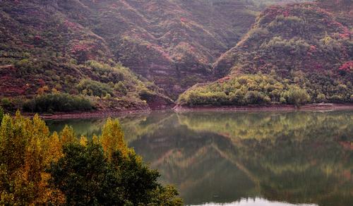 韩城香山红叶又红啦