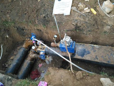 “片片”真情送温暖