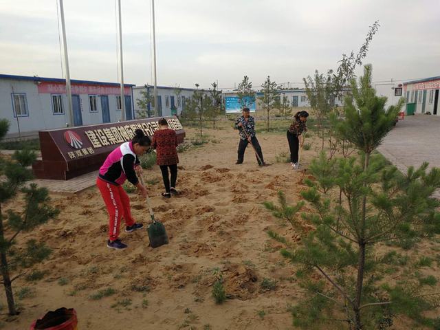 践行绿色生活 共筑美丽家园