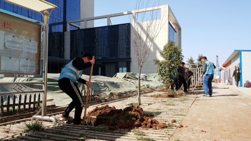 陕煤建设澄合分公司基层单位开展“植树护绿,美丽家园”义务植树活动