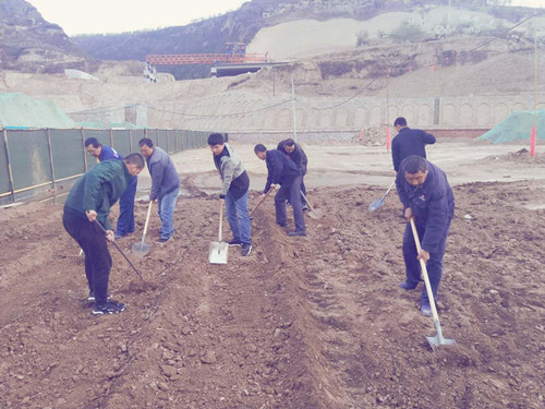 陕煤建设天工公司土建三部不负时光“务农” 丰富员工餐桌