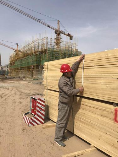 “百日会战”中的铜煤建设人(七)