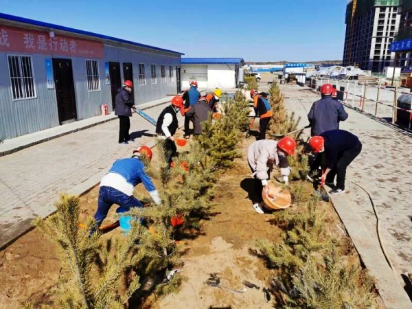 陕煤建设澄合分公司第十二项目部复工复产间隙植树忙