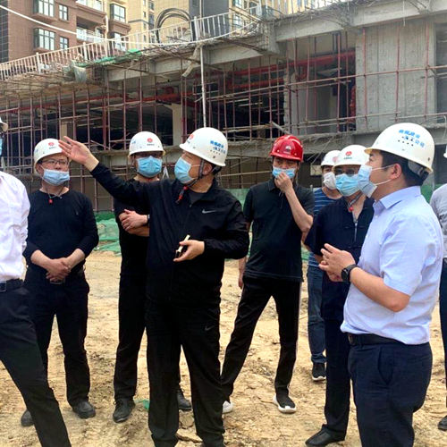 王宁深入大秦置业公司龙湾水境项目检查指导项目开发建设工作