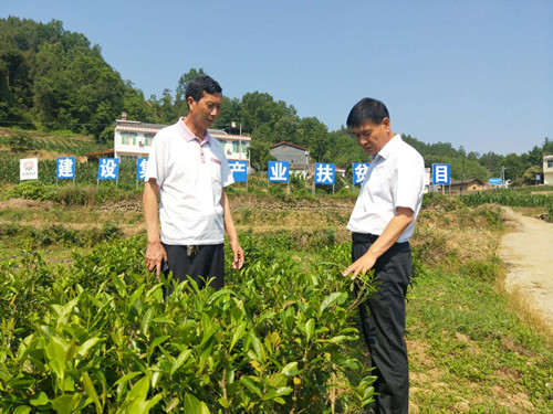 侯本英赴汉阴县大坝村调研指导帮扶工作