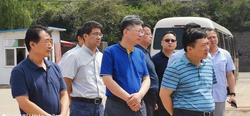 湖北省能源局副局长揭建平莅临路桥分公司黄陵店头电厂项目施工现场