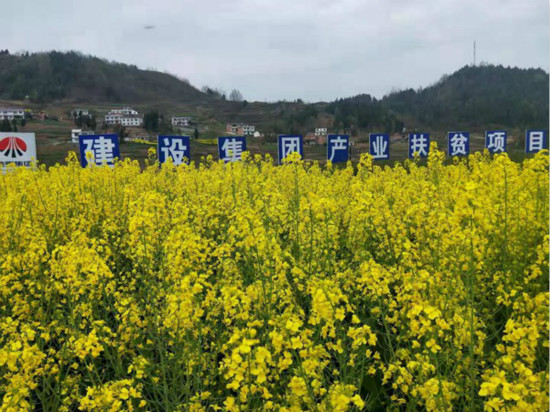 公司领导宁兴刚、侯本英到扶贫定点帮扶村看望慰问困难群众