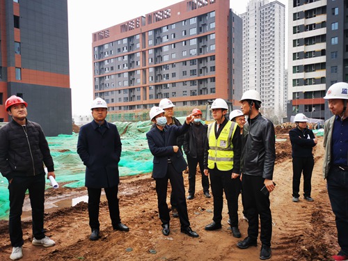 杨让顺深入蓝山水岸项目检查指导工作