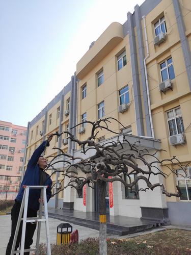 陕煤建设铜煤公司做好办公区域的绿化创和谐温馨企业环境