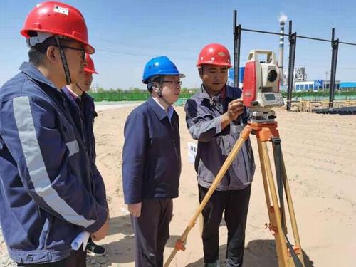 陕煤建设洗选煤运营公司佳县甜叶菊项目部:技术保质量 安全促发展