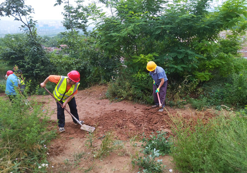 青年突击勇担当，助民防洪显形象