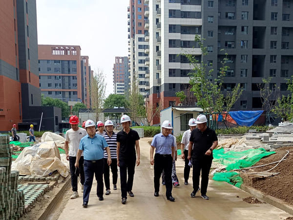 王明智一行深入蓝山水岸项目检查指导工作