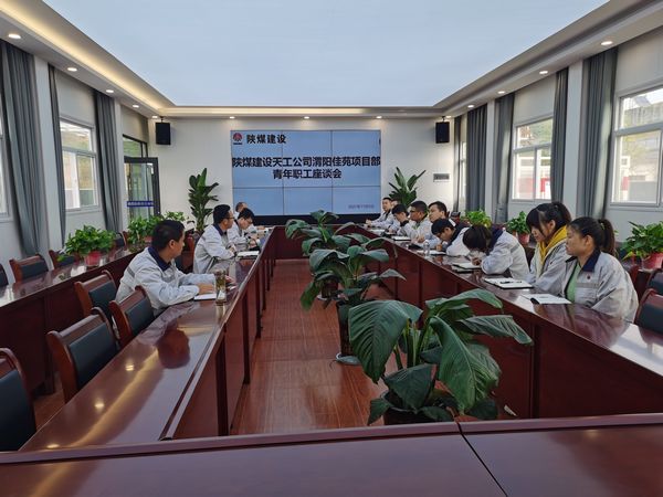 陕煤建设天工公司渭阳佳苑项目部召开“学习本领+锤炼品德”专题青工座谈会