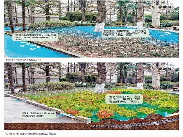 陕煤建设设计研究院:铜川市王益区虎头小区老旧小区改造海绵城市建设设计圆满完成