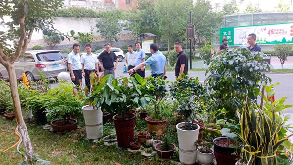 陕煤建设大秦置业公司:龙湾水境创文工作迎“大考”