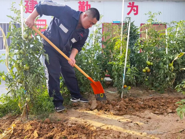 陕煤建设洗选煤运营公司第七项目部:开垦“试验田” 扎根大荒漠