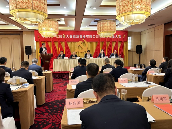 陕西大秦能源置业有限公司召开第二次全体党员大会