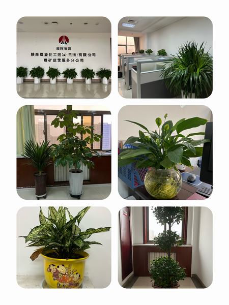 陕煤建设煤矿运营服务公司：职工之事无小事