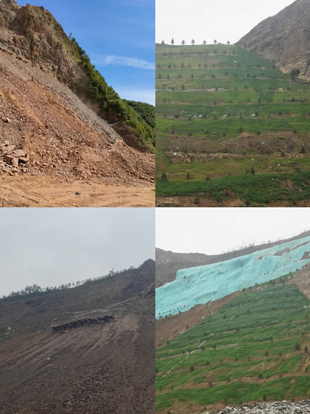 渣山变绿林,碎石堆场批“绿装”