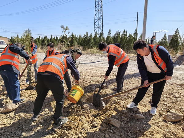 陕煤建设汉中分公司：不负春光 “植”此新绿