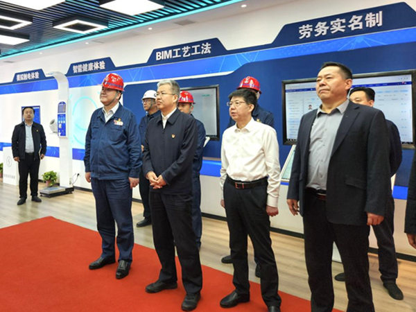 渭南市委副书记、市长陈晓勇视察龙钢机械化综合一次料场项目建设情况