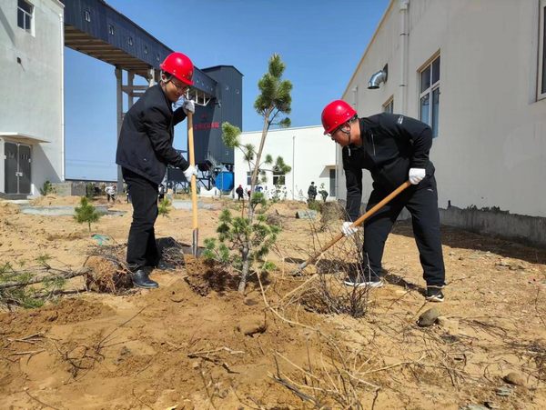 陕煤建设路桥分公司榆阳煤炭物流园区项目部春风化雨植树忙