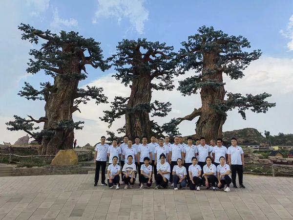 陕煤建设煤矿运营服务分公司：开展“放飞心情  健行健康”健步走活动