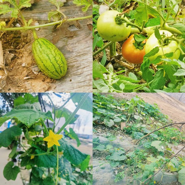 陕煤建设路桥分公司全心全意打造基层项目“幸福家”