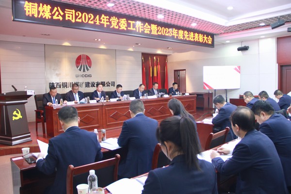 党建领航聚合力  扬帆奋进启新程