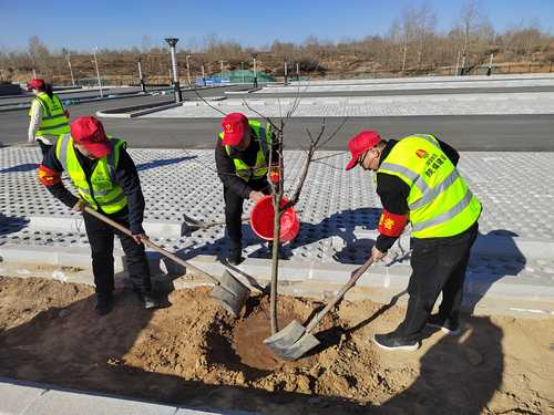 陕煤建设榆林公司开展“春日有约 ‘益’起种树 绿色传承 根植心间”主题党日活动
