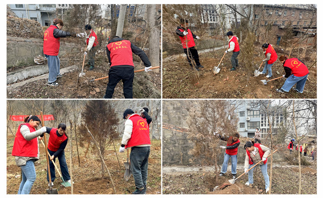 陕煤建设机电安装公司：走，上春山，植树去！