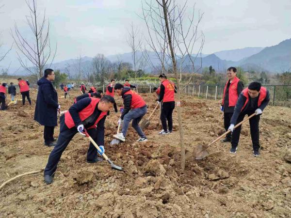 陕煤建设驻村工作队参加春季义务植树活动