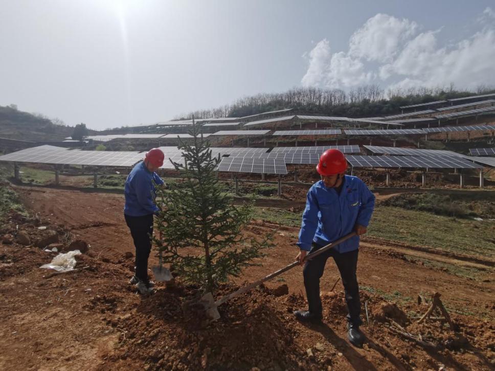 陕煤建设西北分公司机电安装项目部： 全员参与，共筑绿色屏障