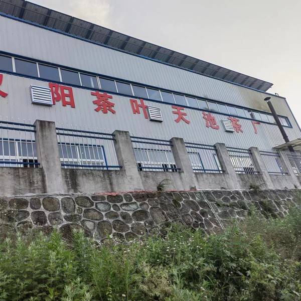 实事一件接着一件,跑出乡村振兴“加速度”