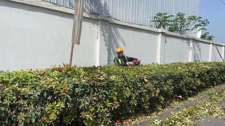 陕煤建设洗选煤运营公司神渭蒲城运营项目部:开展“清理环境卫生,我先行”主题活动