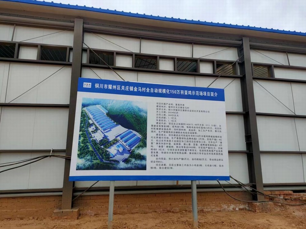 陕煤建设设计研究院：铜川市耀州区关庄镇金马村全自动规模化150万羽蛋鸡示范场项目主体验收