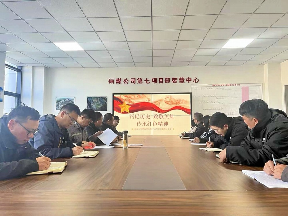 看！这个“主题党日”有声有色！