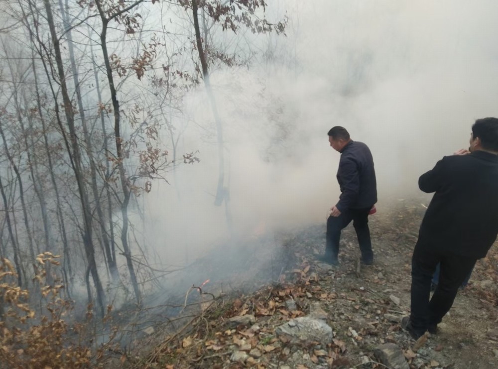 陕煤建设驻村工作队：勇扑山火保平安 践行担当群众赞