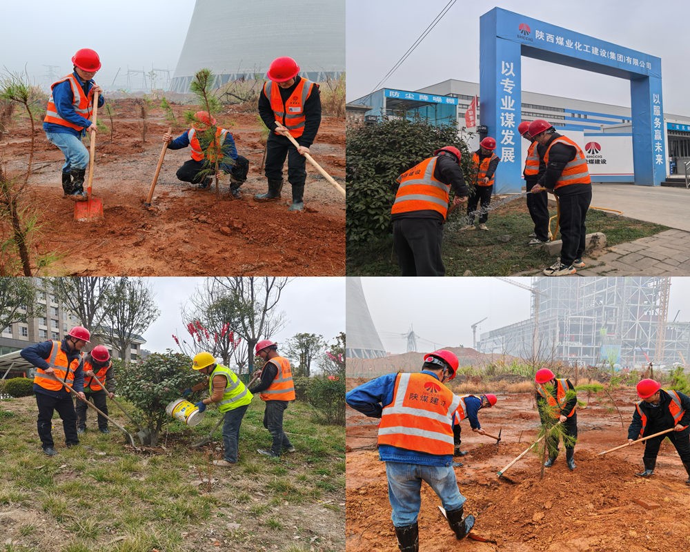 陕煤建设汉中分公司：为工地添绿 为环保赋能