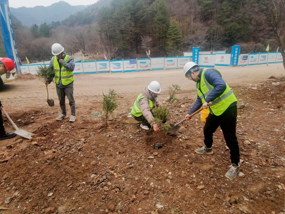 “植”此青绿,陕煤建设路桥分公司春风十里添新林