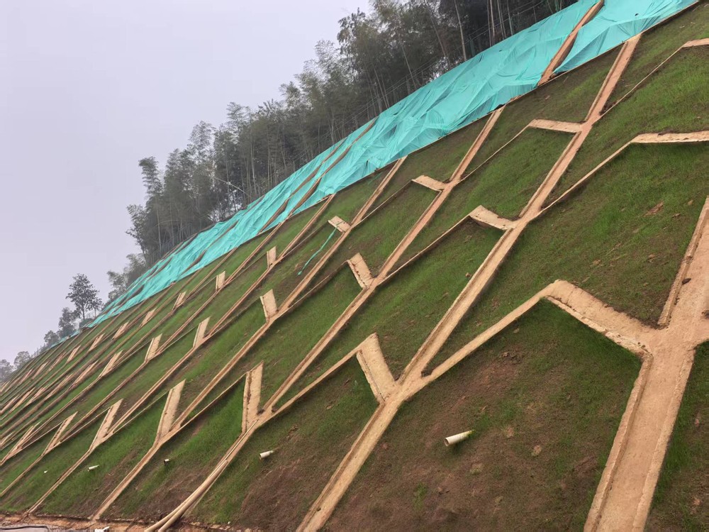 陕煤建设西北分公司：边坡披绿衣，防护显匠心