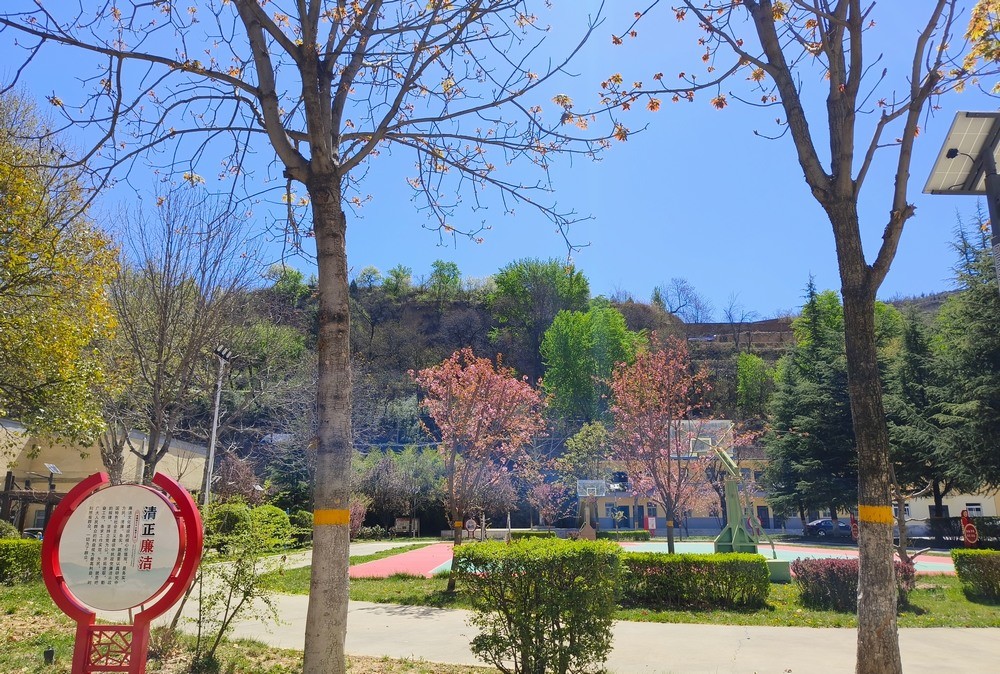 陕煤建设铜煤公司：春韵盈院 奋楫新程