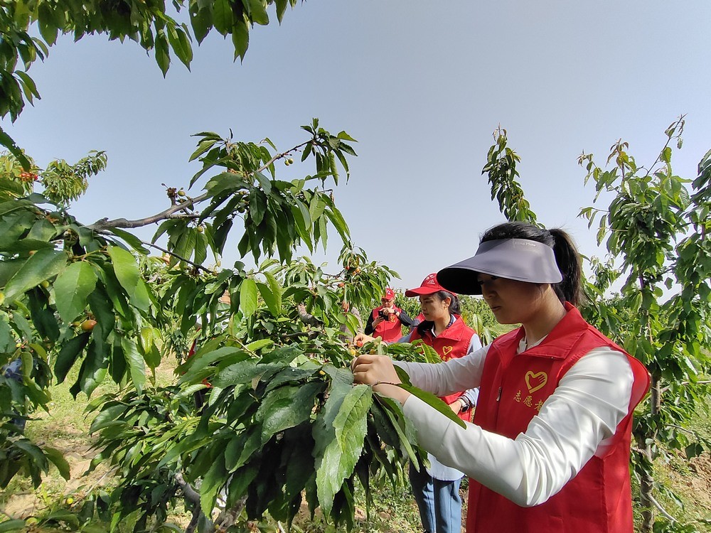 陕煤建设澄合分公司：助力农耕践初心 防灾宣传担使命