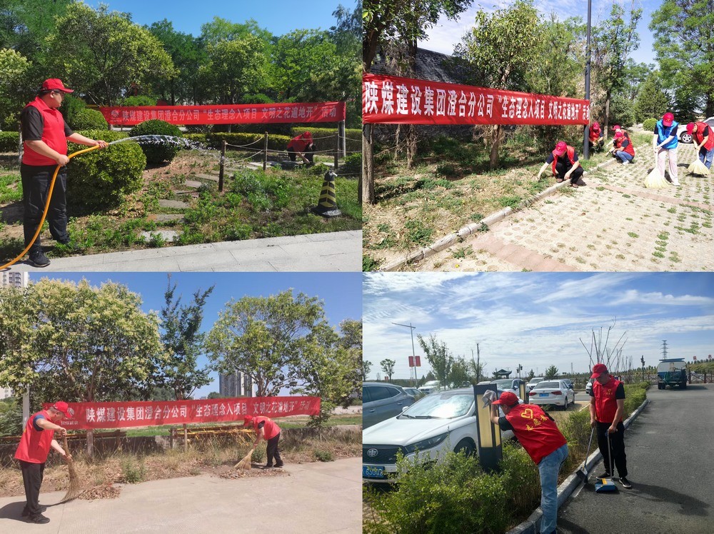 陕煤建设澄合分公司：绿色行动绘就生态新画卷