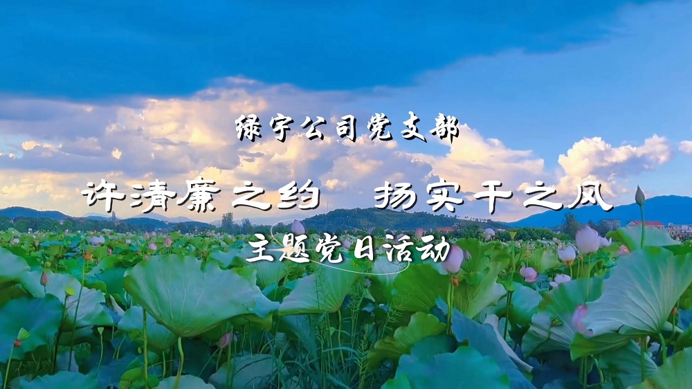 许清廉之约  扬实干之风——绿宇公司党支部主题党日活动