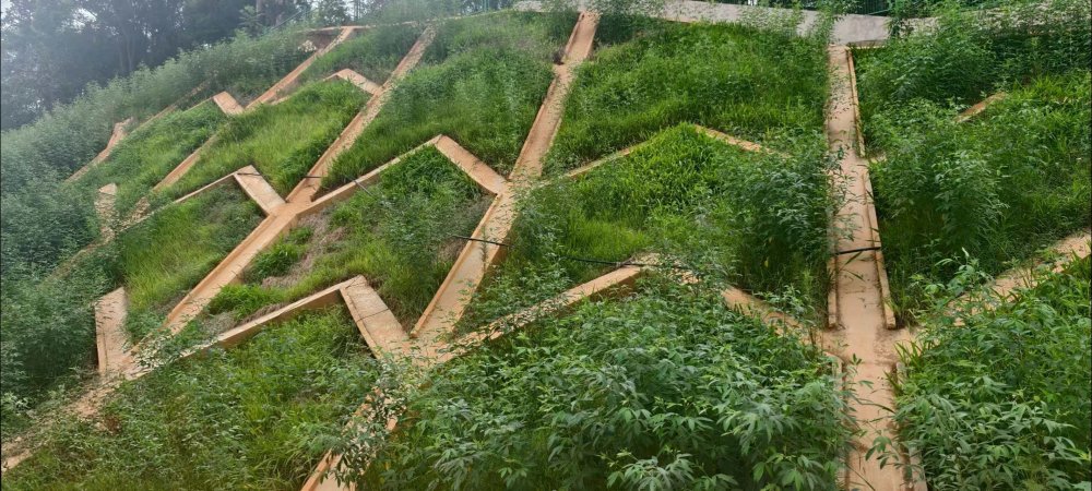 陕煤建设西北分公司:长安益阳发电有限公司2×100万千瓦扩能升级改造项目 高边坡支护工程顺利通过竣工验收