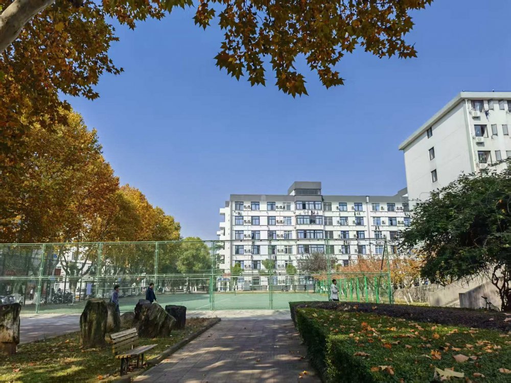 十六载归程    母校秋意暖